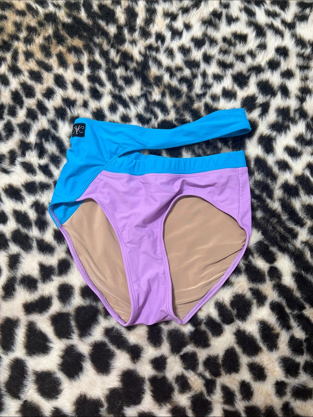 Kids Dance Briefs in Purple and Blue - Performance Costume